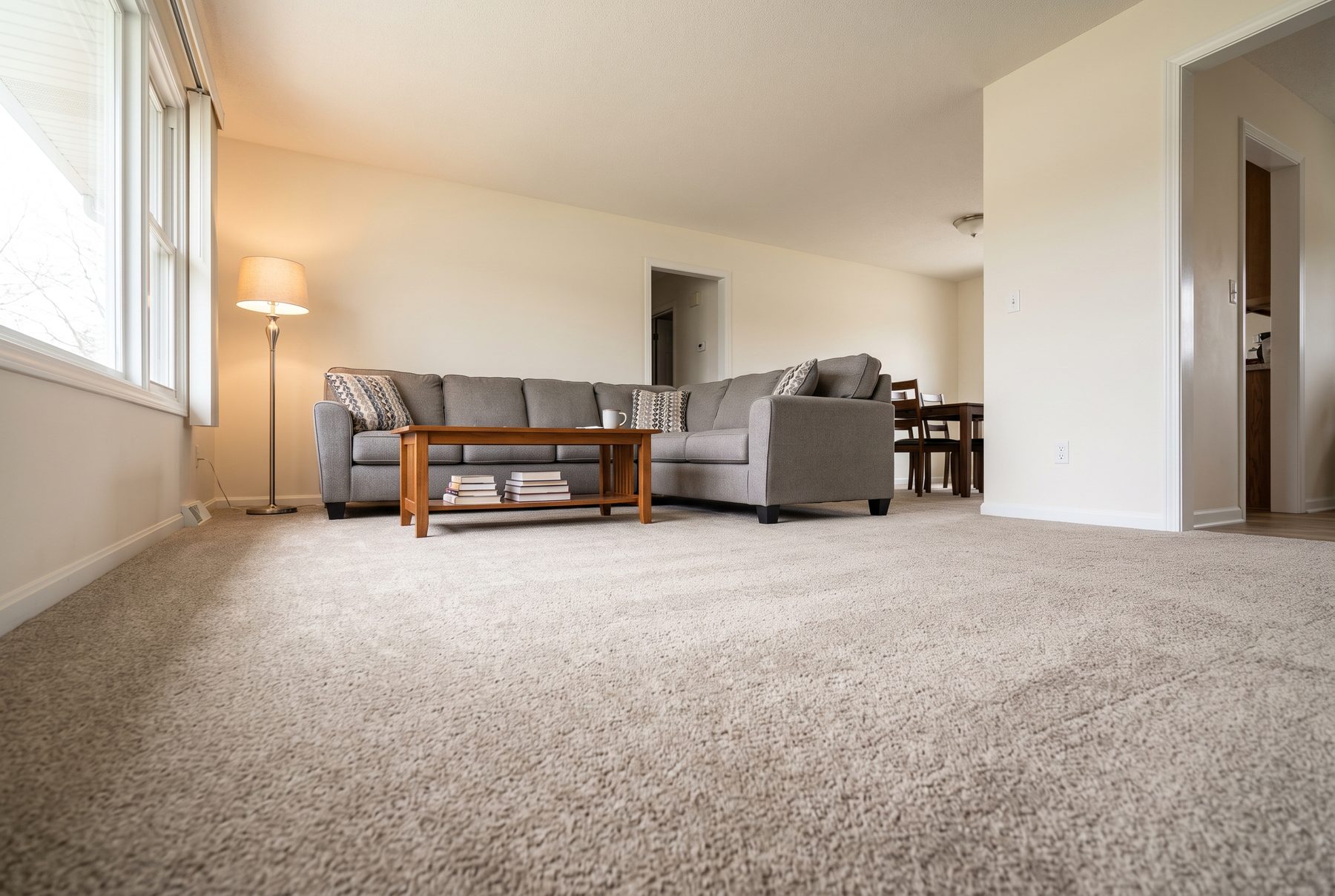 Soft neutral carpet in a living room with a gray sectional